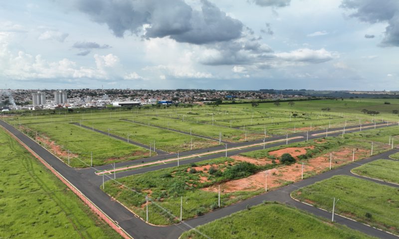 WhatsApp Image 2024-08-12 at 11.42.12